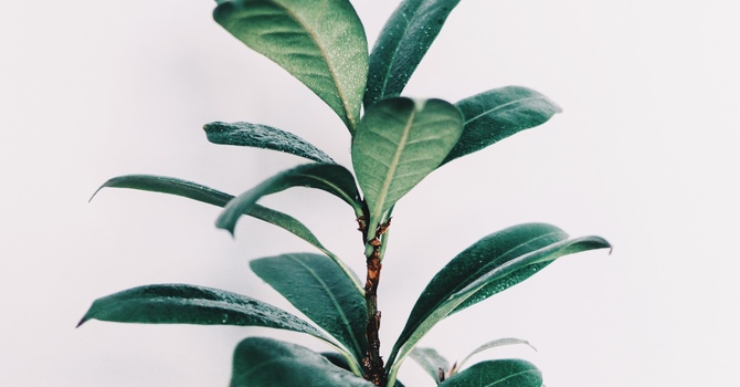 Toddler Massage (15 Minutes)